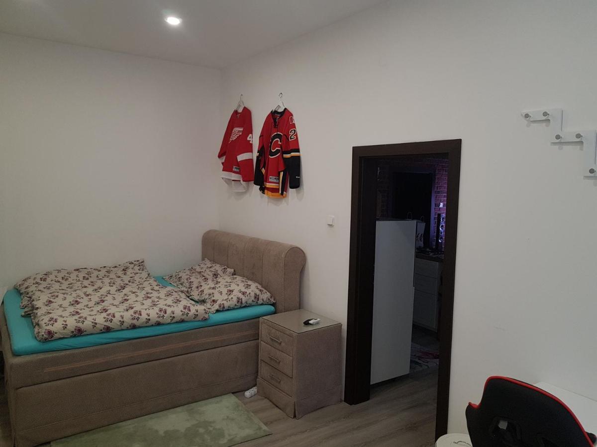 Апартаменти Apartman Карлові Вари Екстер'єр фото